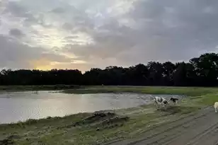 3170 Contentment Hall Rd, Johns Island, SC 29455 - Photo 1