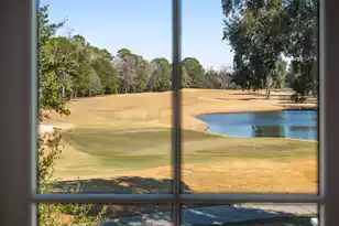 57 Iron Bottom Ln, Charleston, SC 29492 - Photo 79