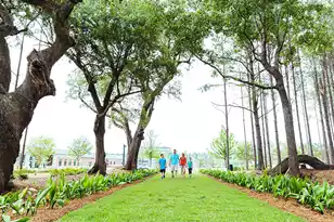 1014 Red Turnstone Run, Summerville, SC 29485 - Photo 25