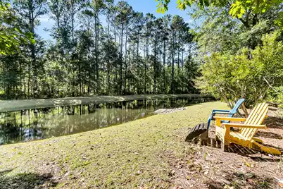 1410 Basildon Road, Mount Pleasant, SC 29466 - Photo 37