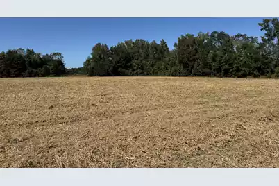 0 Clarks Hill Drive #4, Saint George, SC 29477 - Photo 3