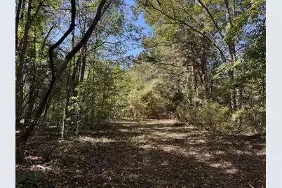 0 Clarks Hill Drive #1, Saint George, SC 29477 - Photo 1