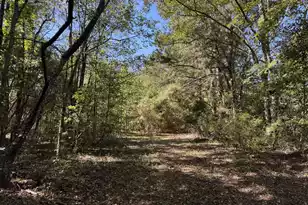 0 Clarks Hill Dr, Saint George, SC 29477 - Photo 1