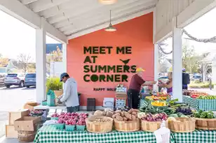 984 Scotch Bonnet Wy, Summerville, SC 29485 - Photo 33