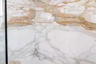 180 Broad St #C, Charleston, SC 29401 - Photo 31