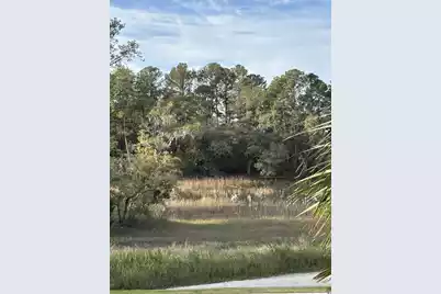 320 Longshore Street #Unit 1025, Charleston, SC 29492 - Photo 27