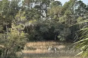 320 Longshore St #1025, Charleston, SC 29492 - Photo 27