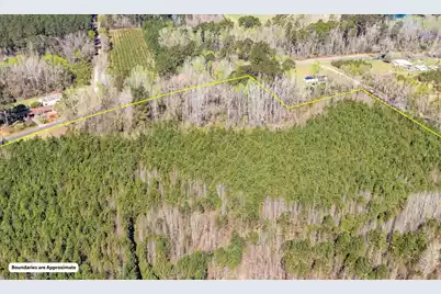 0 Buckhead Road, Smoaks, SC 29481 - Photo 11