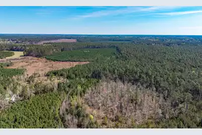 0 Buckhead Road, Smoaks, SC 29481 - Photo 7