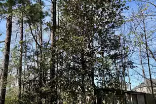 246 Columbia Dr, Ladson, SC 29456 - Photo 27