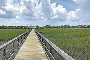 1618 Fort Palmetto Cir, Mount Pleasant, SC 29466 - Photo 79