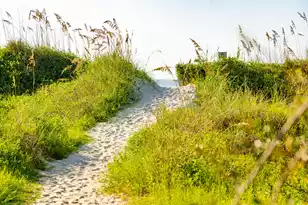 6 29th Ave, Isle Of Palms, SC 29451 - Photo 67