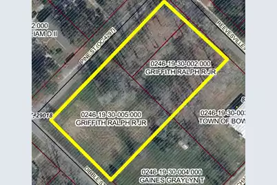 0 Pine Street, Bowman, SC 29018 - Photo 1