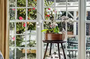 352 Confederate Cir, Charleston, SC 29407 - Photo 33