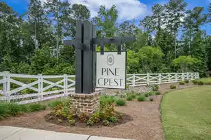 224 Parkwood Vista Way, Summerville, SC 29486 - Photo 39