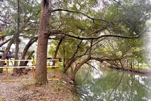 1578 Periwinkle Dr, Mount Pleasant, SC 29466 - Photo 1