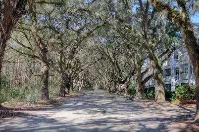 60 Fenwick Hall Allee Alley #935, Johns Island, SC 29455 - Photo 27