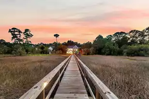 4385 Ten Shillings Way, Ravenel, SC 29470 - Photo 23