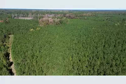 0 U.S. 521, Salters, SC 29590 - Photo 31