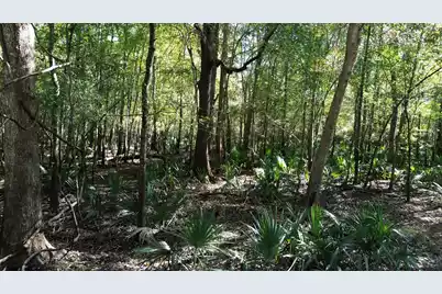 0 U.S. 521, Salters, SC 29590 - Photo 19