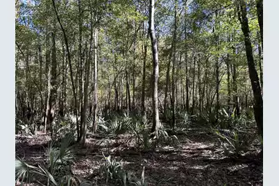 0 U.S. 521, Salters, SC 29590 - Photo 51