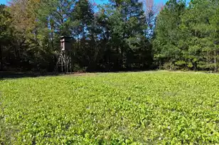 0 US-521, Salters, SC 29590 - Photo 1