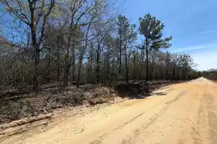 Bhl 9 Boise Cascade #Bhl 9, Bethune, SC 29009 - Photo 1