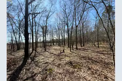 Bhl 9 Boise Cascade #Bhl 9, Bethune, SC 29009 - Photo 15