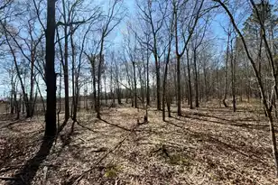 Bhl 9 Boise Cascade #Bhl 9, Bethune, SC 29009 - Photo 15