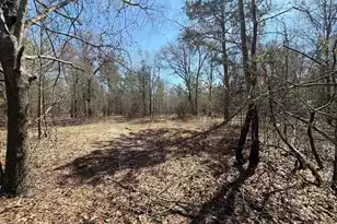 Bhl 9 Boise Cascade #Bhl 9, Bethune, SC 29009 - Photo 39