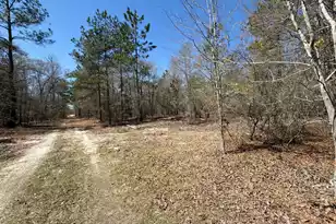 Bhl 9 Boise Cascade #Bhl 9, Bethune, SC 29009 - Photo 7