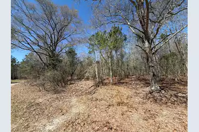 Bhl 9 Boise Cascade #Bhl 9, Bethune, SC 29009 - Photo 9