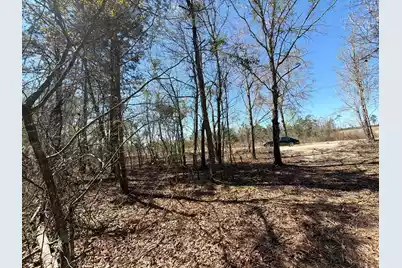 Bhl 9 Boise Cascade #Bhl 9, Bethune, SC 29009 - Photo 41