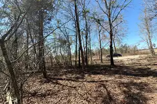 Bhl 9 Boise Cascade #Bhl 9, Bethune, SC 29009 - Photo 41