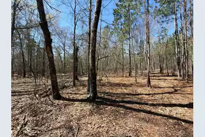 Bhl 9 Boise Cascade #Bhl 9, Bethune, SC 29009 - Photo 23