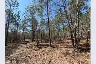 Bhl 9 Boise Cascade #Bhl 9, Bethune, SC 29009 - Photo 25