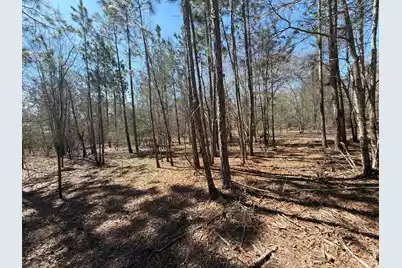 Bhl 9 Boise Cascade #Bhl 9, Bethune, SC 29009 - Photo 31