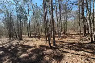 Bhl 9 Boise Cascade #Bhl 9, Bethune, SC 29009 - Photo 31