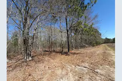 Bhl 9 Boise Cascade #Bhl 9, Bethune, SC 29009 - Photo 13