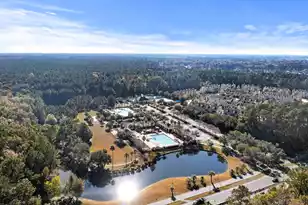 1617 William Hapton Way, Mount Pleasant, SC 29466 - Photo 63