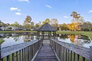 1617 William Hapton Way, Mount Pleasant, SC 29466 - Photo 51