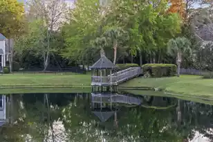 1617 William Hapton Way, Mount Pleasant, SC 29466 - Photo 51