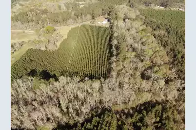 0 Polk Road, Islandton, SC 29929 - Photo 7