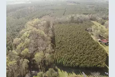 0 Polk Road, Islandton, SC 29929 - Photo 5