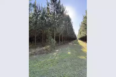 0 Polk Road, Islandton, SC 29929 - Photo 1