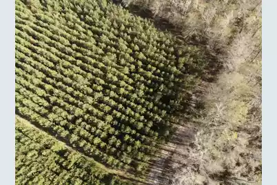 0 Polk Road, Islandton, SC 29929 - Photo 9