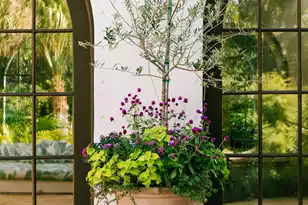 1710 Atlantic Ave, Sullivans Island, SC 29482 - Photo 51