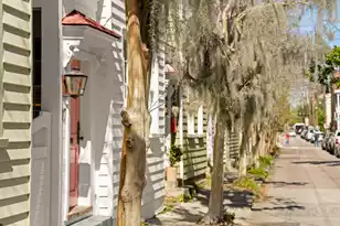 17 Anson St, Charleston, SC 29401 - Photo 59