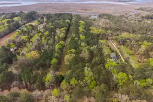 7717 White Point Rd, Adams Run, SC 29426 - Photo 91