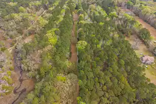 7717 White Point Rd, Adams Run, SC 29426 - Photo 85